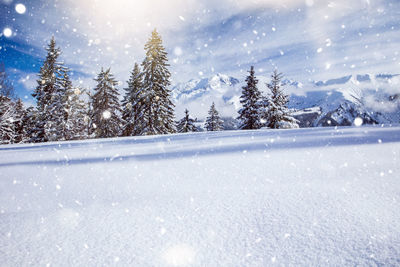 Snow covered land against sky