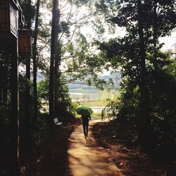 Rear view of people walking on road along trees