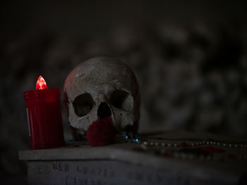 Close-up of human skull