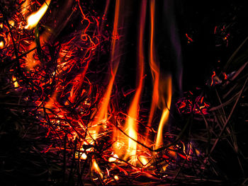 Close-up of illuminated bonfire at night