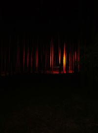 Fire in forest at night