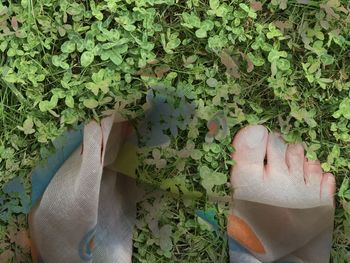 Low section of man standing on plants