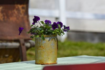 Close-up of purple flower vase on table