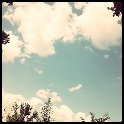 Low angle view of trees against cloudy sky