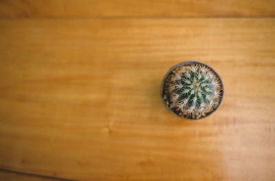 High angle view of bread on table