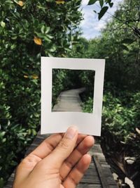 Cropped hand holding photograph against trees