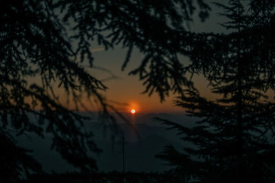 Silhouette trees against romantic sky at sunset