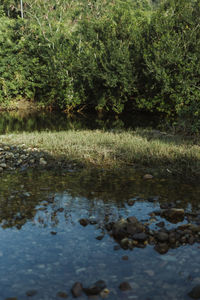 water