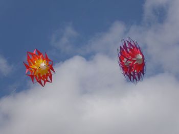 Low angle view of red flower against sky