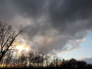 Low angle view of silhouette trees against sky during sunset