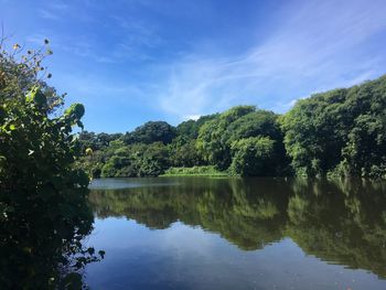 Reflection of trees in lake against sky