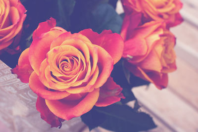 Close-up of rose bouquet