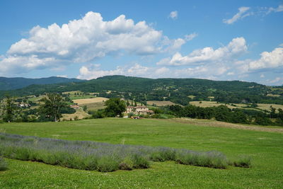 Scenic view of landscape against sky