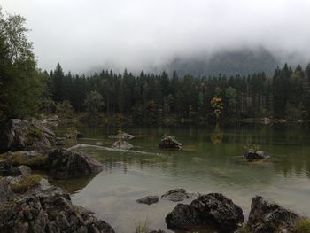 Scenic view of lake in forest against sky