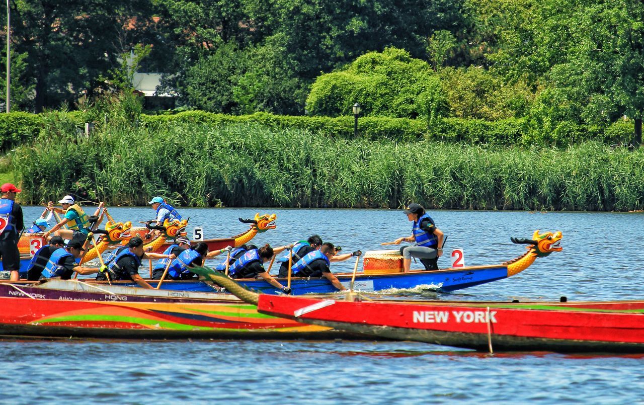 nautical vessel, tree, river, oar, transportation, nature, water, green color, kayak, medium group of people, day, men, leisure activity, outdoors, canoe, adventure, forest, rowing, women, moored, beauty in nature, real people, adult, people