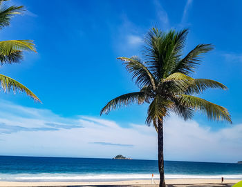 Palm tree by sea against sky