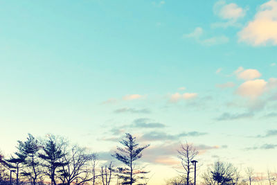 Low angle view of bare tree against sky