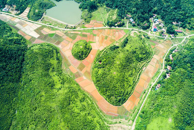 High angle view of agricultural field