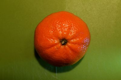 Close-up of orange over white background