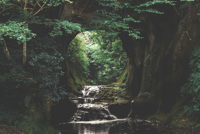 Nomizo falls - chiba - japan