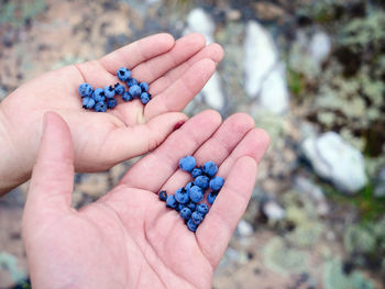 Close-up of cropped hands holding blueberries