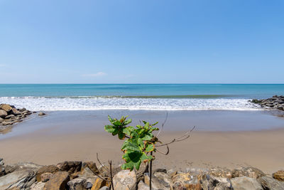Scenic view of sea against clear blue sky