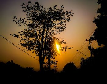 Low angle view of silhouette trees against sky during sunset