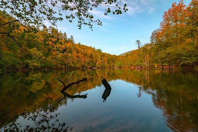 Reflection of trees on lake during autumn