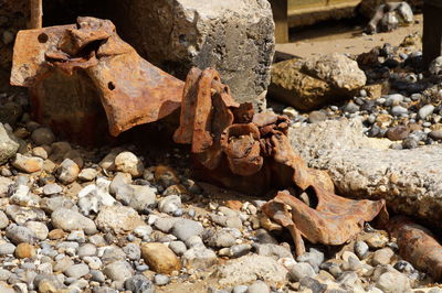 High angle view of stones on rock