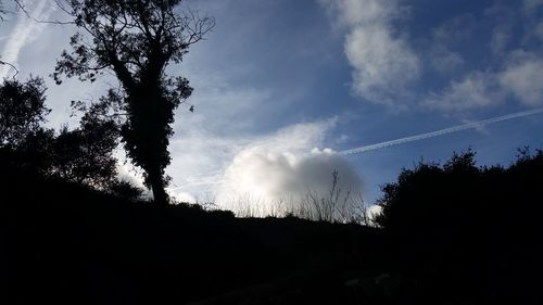 Low angle view of silhouette trees against sky