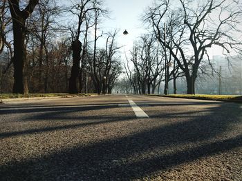 Road amidst bare trees against sky