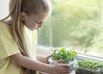A little girl at the window watches how microgreen grow