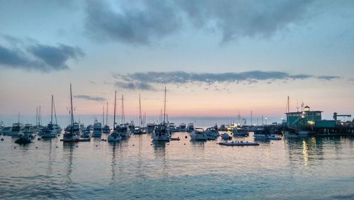 Sailboats in sea at sunset