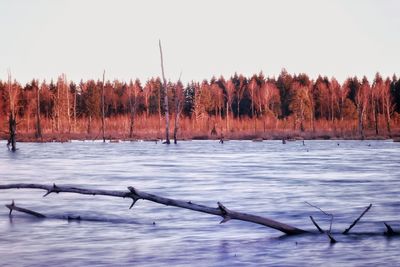 Scenic view of lake against clear sky during winter