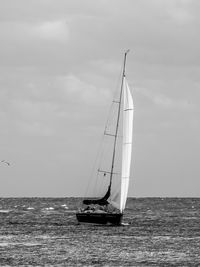 Sailboat sailing on sea against sky