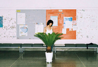 Potted plants on the wall