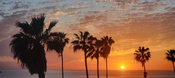 Silhouette palm trees by sea against sky during sunset