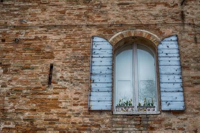 Low angle view of potted plants on arch window sill