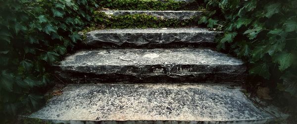 Staircase in steps