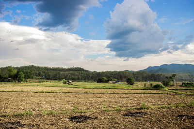 View of rural landscape