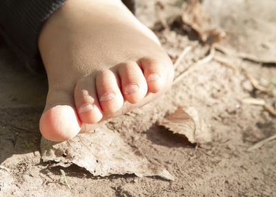 Close-up of baby foot