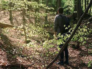 Rear view of man amidst plants in forest