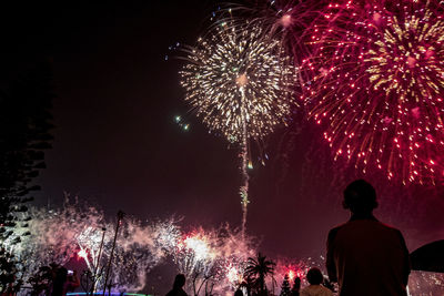 People looking at firework display