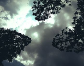 Low angle view of trees against cloudy sky