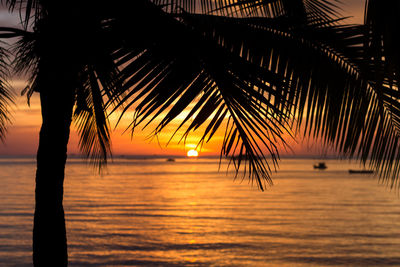 Silhouette palm tree on beach against sky during sunset