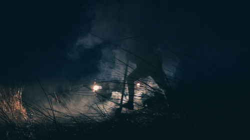 Low angle view of silhouette trees against sky at night