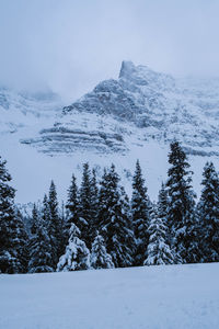 Scenic view of snow covered mountains against sky