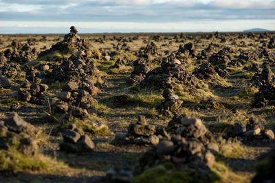 Traditional cairns made of stones on a lava ridge, laufskalavarda southern iceland