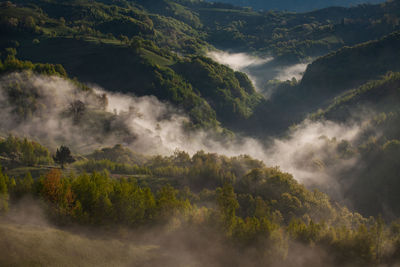 Mountain landscape in the spring season.