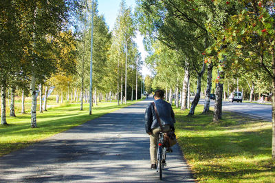 Rear view of man riding bicycle on footpath amidst trees